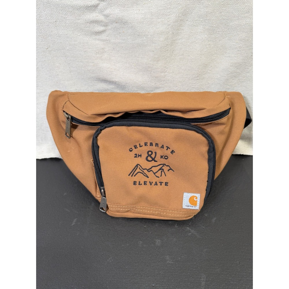 Carhartt Waist Pack Brown Gorpcore Embroidered Mountain Hip Bag 8909810102